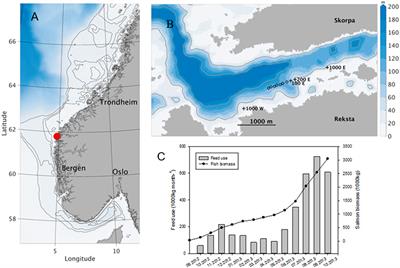 The Potential for Upscaling Kelp (Saccharina latissima) Cultivation in Salmon-Driven Integrated Multi-Trophic Aquaculture (IMTA)